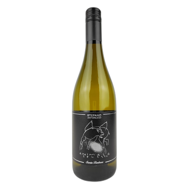 Animale Celeste Antonucci Stefano - 12% vol - 2025 - 75cl