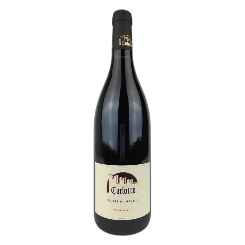 Carlotto Pinot Nero Filari di Mazzon - 14% vol - 2022 - 75cl
