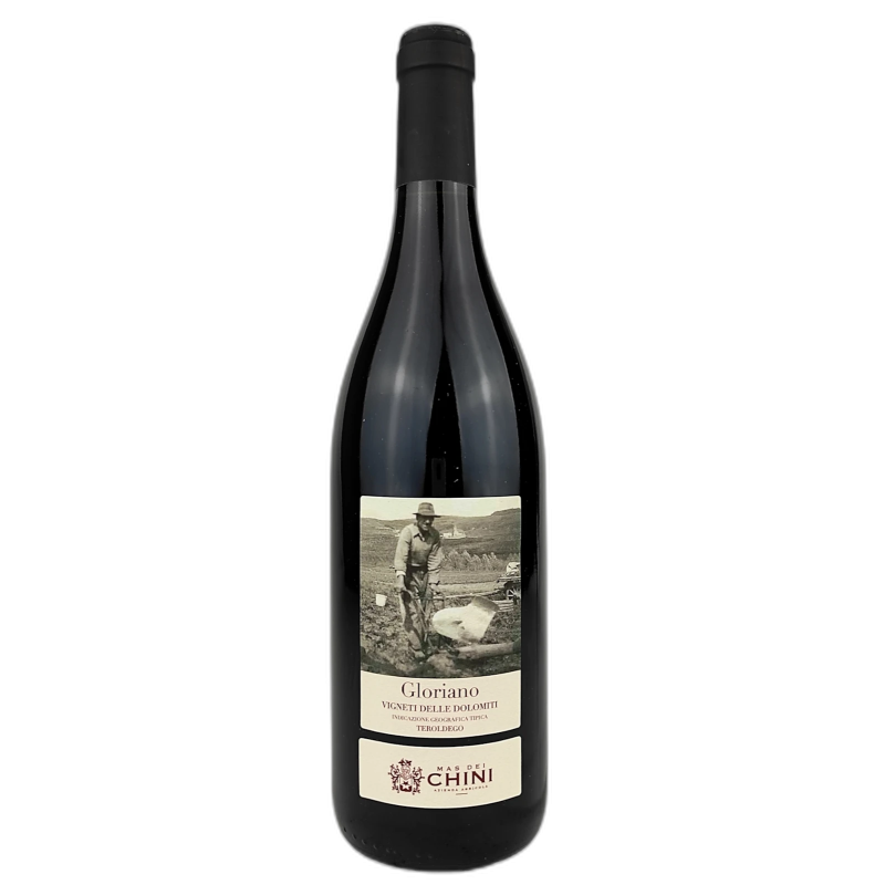GLORIANO TEROLDEGO MAS DEI CHINI VIGNETI DELLE DOLOMITI - 13% vol - 2020 - 75cl