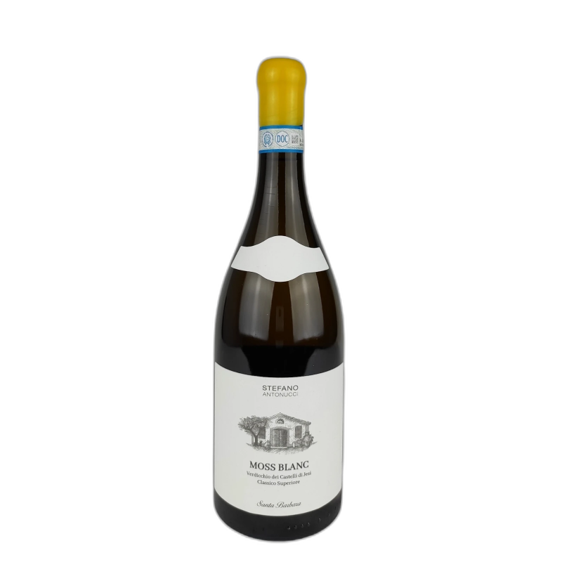 MOSS BLANC VERDICCHIO DEI CASTELLI DI JESI CLASSICO - 14% vol - 2022 - 75CL