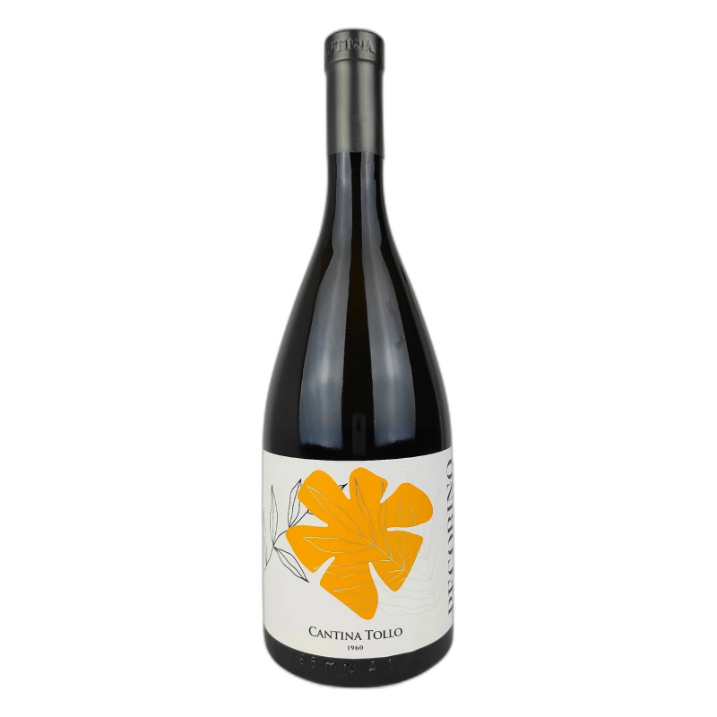 TOLLO PECORINO IGP TERRE DI CHIETI - 13% vol - 2025 - 75CL