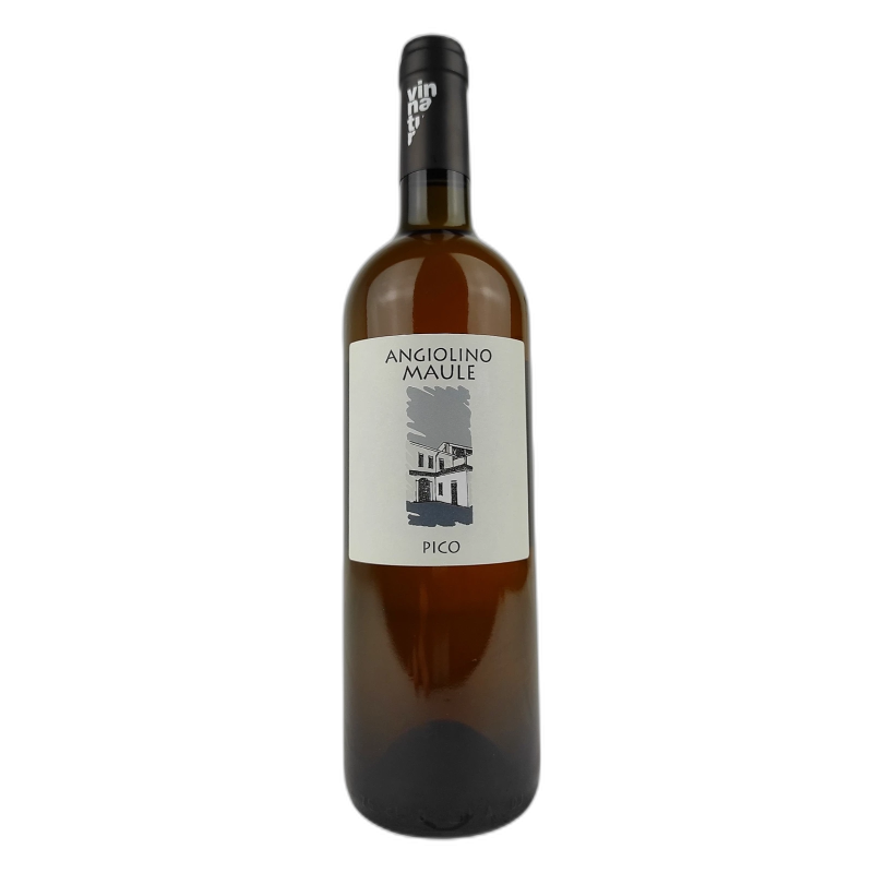 PICO ANGIOLINO MAULE GARGANEGA IGT LA BIANCARA - 13% vol - 2022 - 75cl