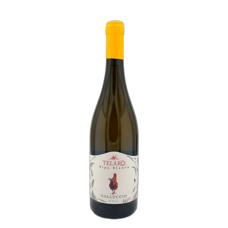 TELARO RIPA BIANCA FALANGHINA GALLUCCIO BIANCO DOC - 12,5% vol - 2025 - 75CL