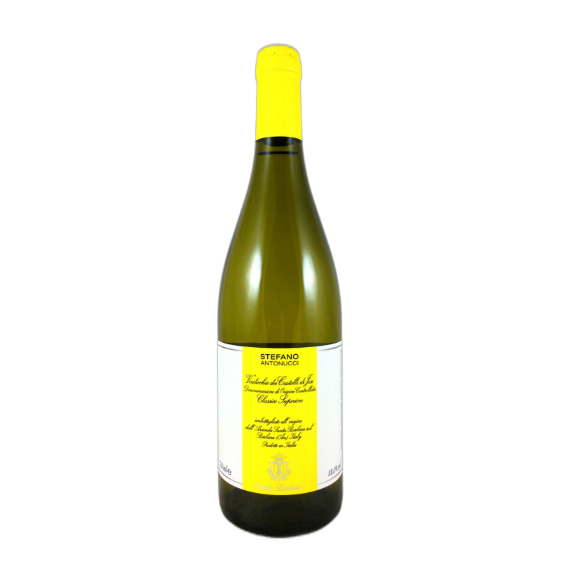 Stefano Antonucci vino bianco Verdicchio Castelli Jesi - 13,5% vol - 2024 - 75cl